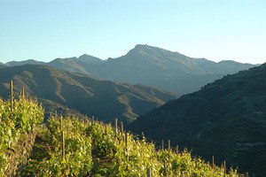 03-ausblick-sm Ausblick von der Terrasse